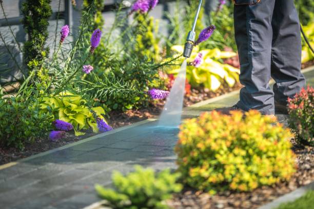 Best Brick and Stone Cleaning in Cross Lanes, WV