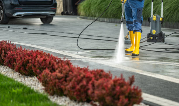 Best Fence Cleaning and Maintenance in Cross Lanes, WV